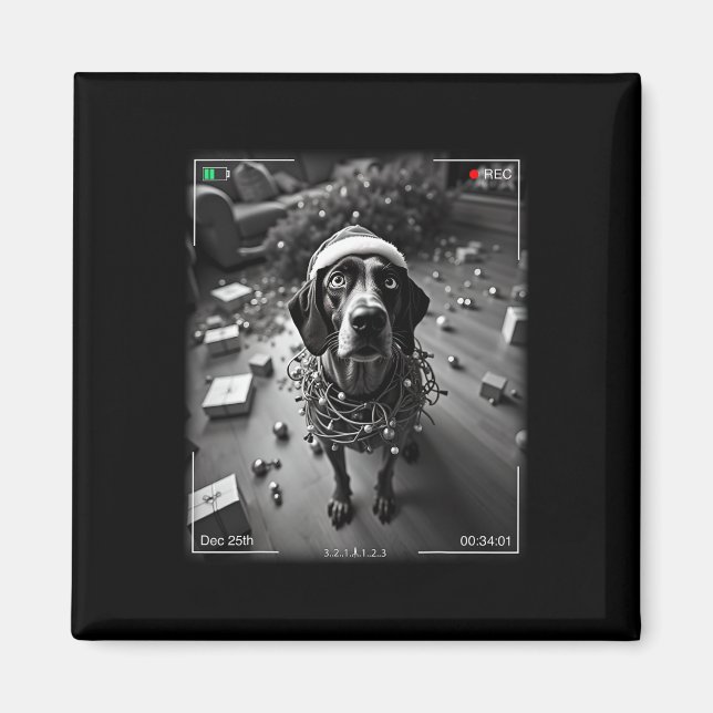 Christmas German Shorthaired Pointer Caught On Cam Magnet (Front)