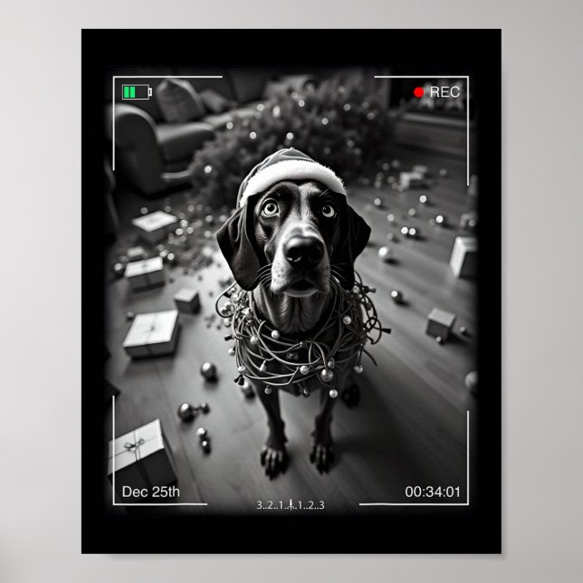 Christmas German Shorthaired Pointer Caught On Cam Poster (Front)