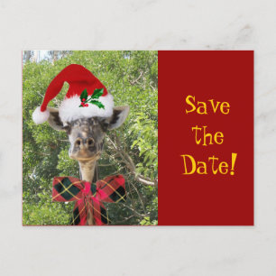 Christmas Giraffe Announcement Postcard