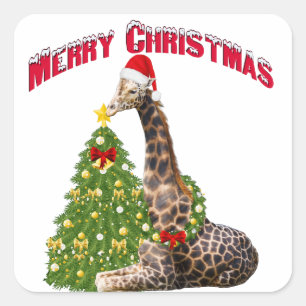 Christmas Giraffe Square Sticker