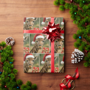 Christmas Giraffe With Holiday Gift Wrapping Paper