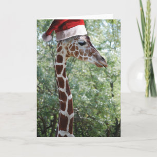 Christmas Giraffe With Santa Hat Holiday Card