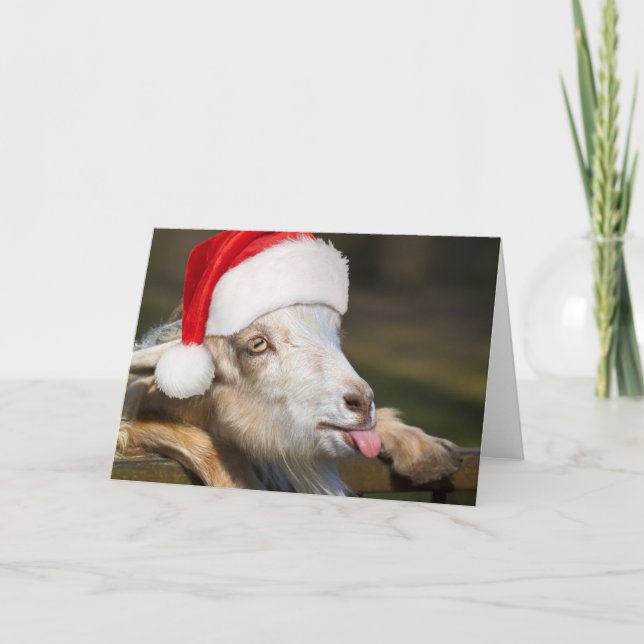 Christmas Goat Card (Front)