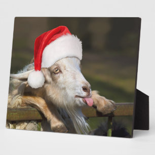 Christmas Goat Plaque