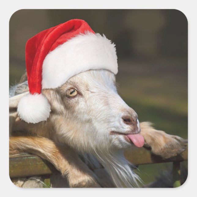 Christmas Goat Square Sticker (Front)