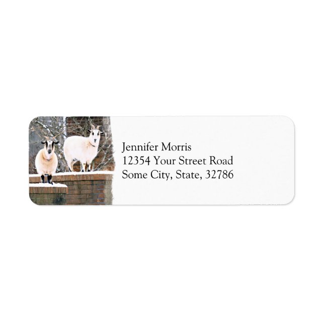 Christmas Goats Return Address Label (Front)