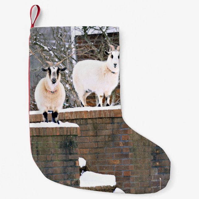 Christmas Goats Small Christmas Stocking (Front)