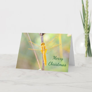 Christmas Gold and Yellow Coloured Dragonfly Holiday Card