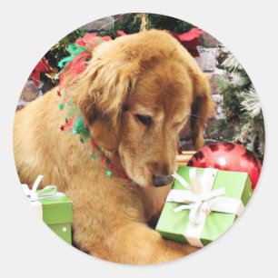 Christmas - Golden Retriever - Addison Classic Round Sticker