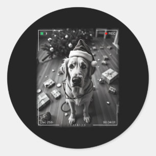Christmas Golden Retriever Caught On Camera Classic Round Sticker