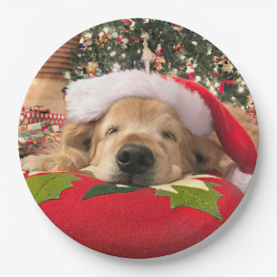 Christmas Golden Retriever Dog Asleep Under Tree Paper Plate
