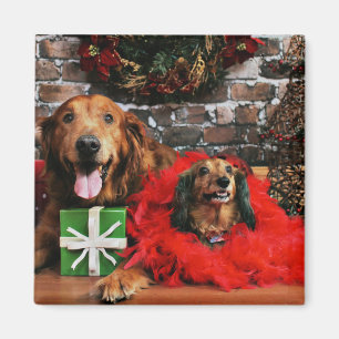 Christmas - Golden Retriever Max - Doxie - Chloe Magnet