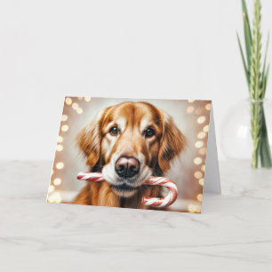 Christmas Golden Retriever With a Candy Cane Holiday Card