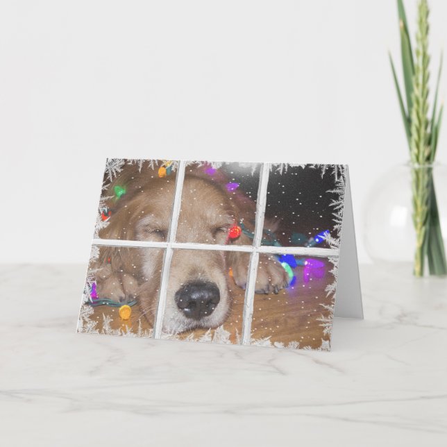 Christmas golden retriever with lights holiday card (Front)