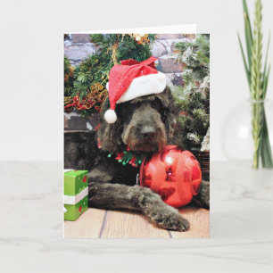 Christmas - GoldenDoodle - Buddy Holiday Card