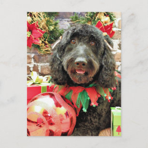 Christmas - GoldenDoodle - Pearl Jam Holiday Postcard