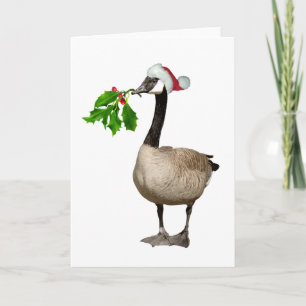 Christmas Goose Holiday Card
