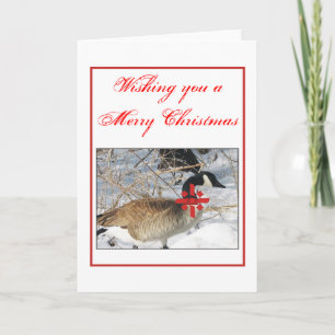 Christmas Goose Holiday Card