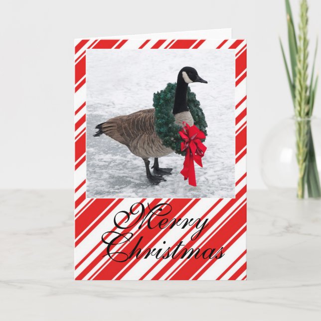 Christmas Goose with Wreath Holiday Card (Front)