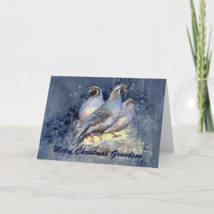 Christmas Grandson California Quail Bird Holiday Card