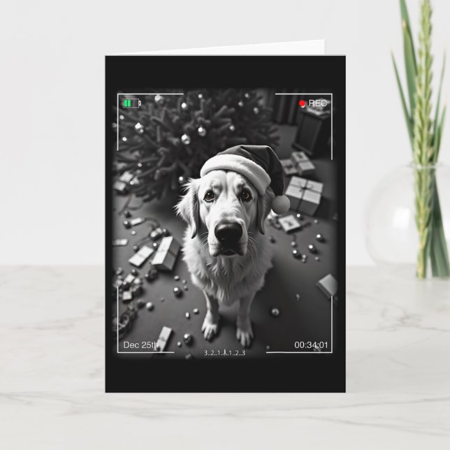 Christmas Great Pyrenees Caught On Camera  Card (Front)