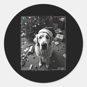 Christmas Great Pyrenees Caught On Camera Classic Round Sticker
