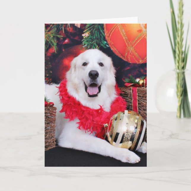 Christmas - Great Pyrenees - Sophie Holiday Card (Front)