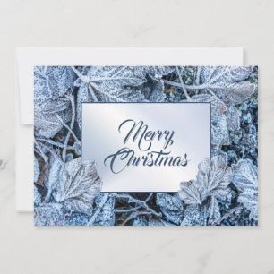 Christmas Greeting Blue Leaves Snow Winter Holiday Card