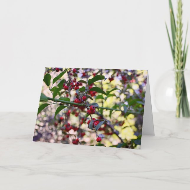 Christmas Greeting Card (Front)