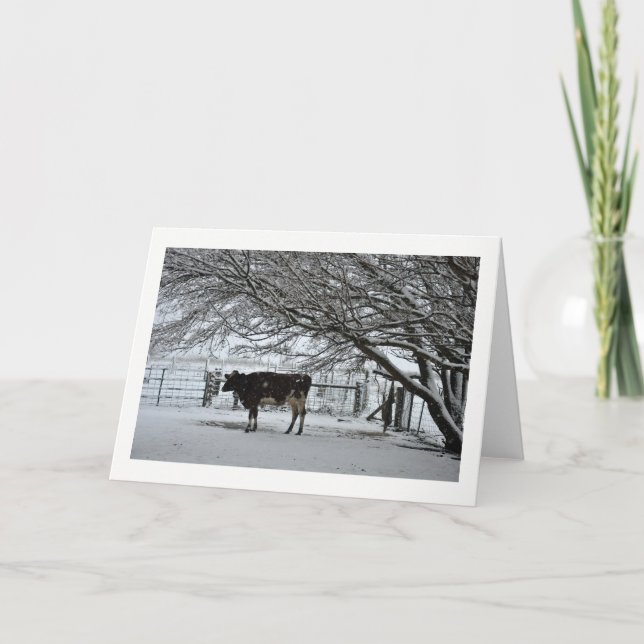 Christmas. Greeting Card. Cow in Snow. Holiday Card (Front)