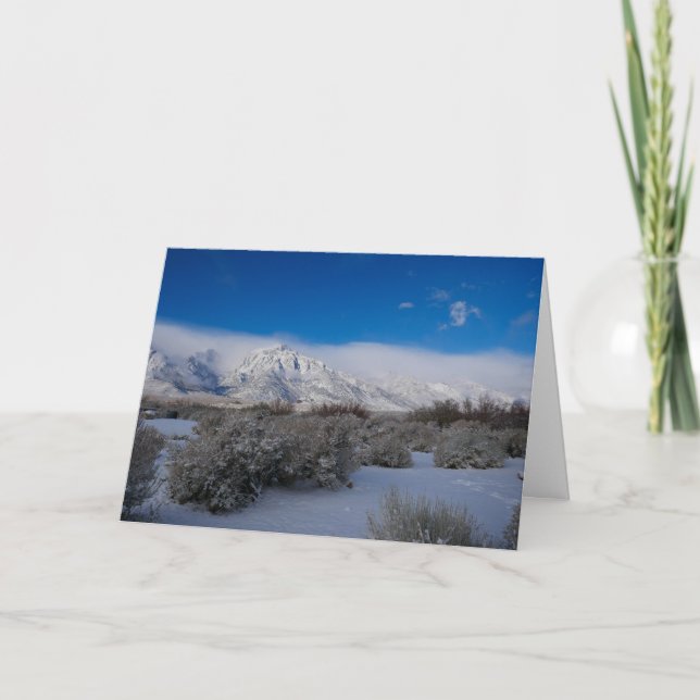 Christmas Greeting Card w/ Scripture Reference (Front)