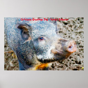 Christmas Greetings Dad Hunter Gatherer Poster