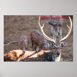 Christmas Greetings  Deerest Poster