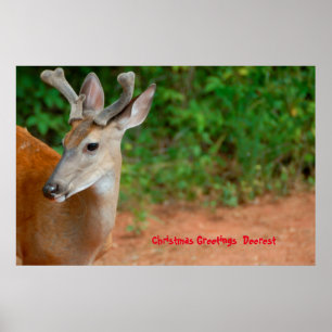 Christmas Greetings Deerest Poster