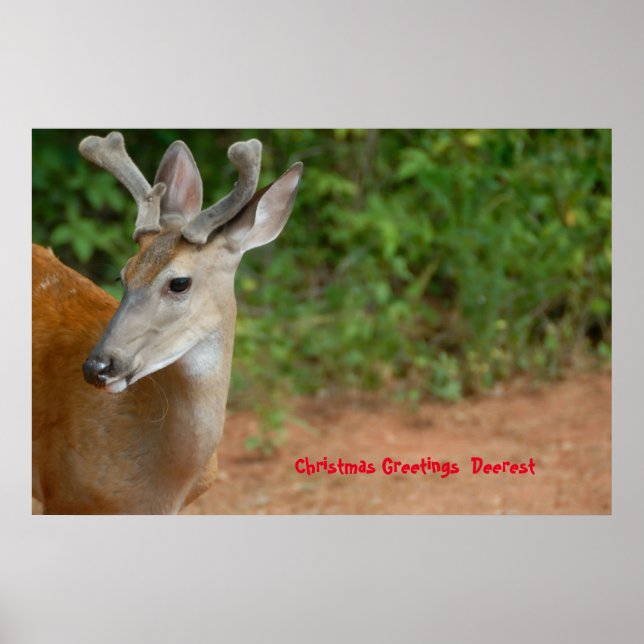 Christmas Greetings  Deerest Poster (Front)