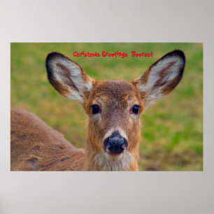 Christmas Greetings  Deerest Poster