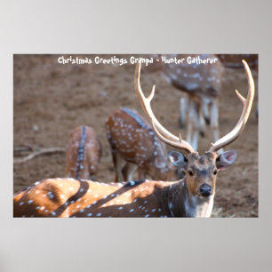 Christmas Greetings Grandpa Hunter Gatherer Poster