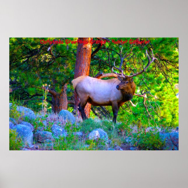 Christmas Greetings Grandpa Hunter Gatherer Poster (Front)