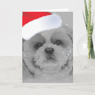 Christmas Greetings Holiday Card