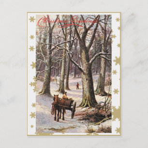 CHRISTMAS GREETINGS HOLIDAY POSTCARD