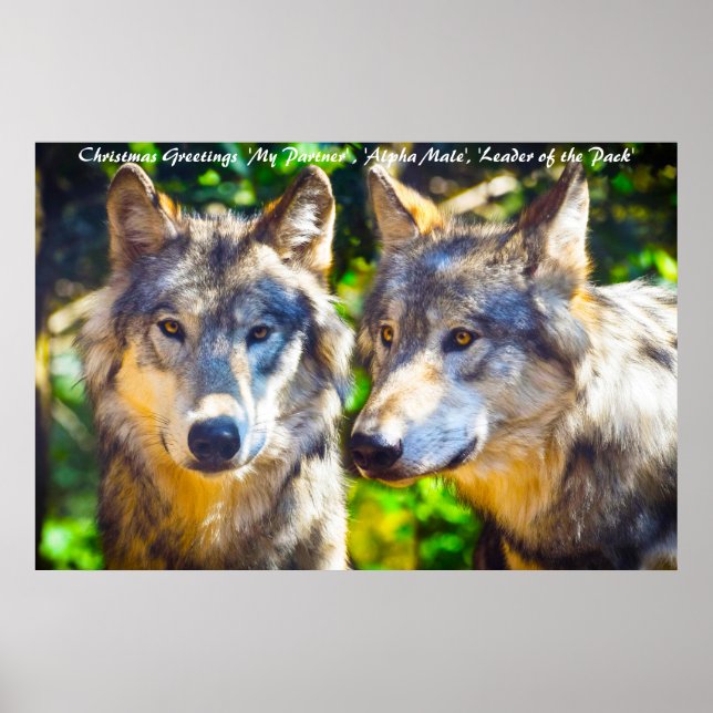 Christmas Greetings Leader of the Pack Poster (Front)