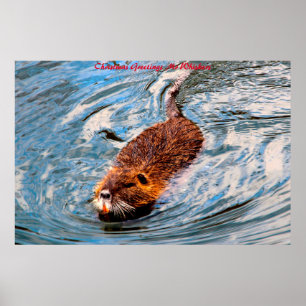 Christmas Greetings  Mr Whiskers Poster