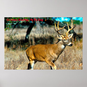 Christmas Greetings  My Big Stag Poster