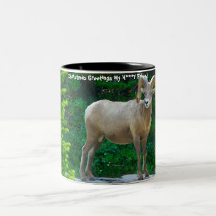Christmas Greetings  My Honey Friend Two-Tone Coffee Mug