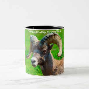 Christmas Greetings  My Honey Friend Two-Tone Coffee Mug