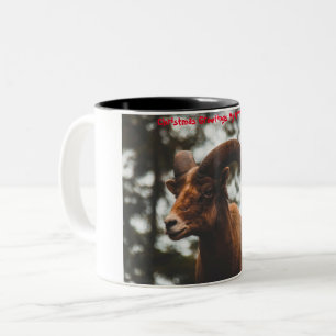 Christmas Greetings  My Honey Friend Two-Tone Coffee Mug