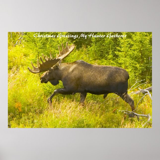 Christmas Greetings My Hunter Gatherer Poster (Front)
