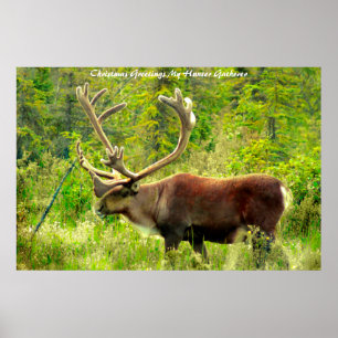 Christmas Greetings My Hunter Gatherer Poster