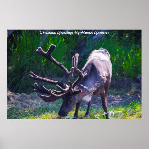 Christmas Greetings My Hunter Gatherer Poster