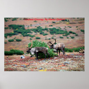 Christmas Greetings My Hunter Gatherer Poster